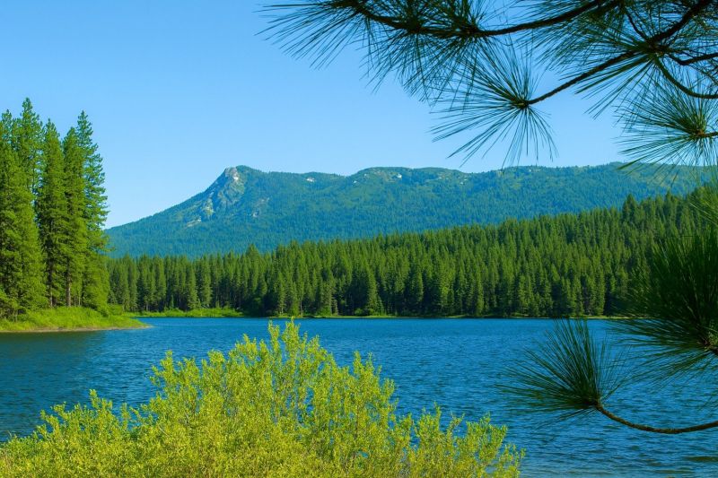 Best Bathroom Remodeling pros in Antelope, CA